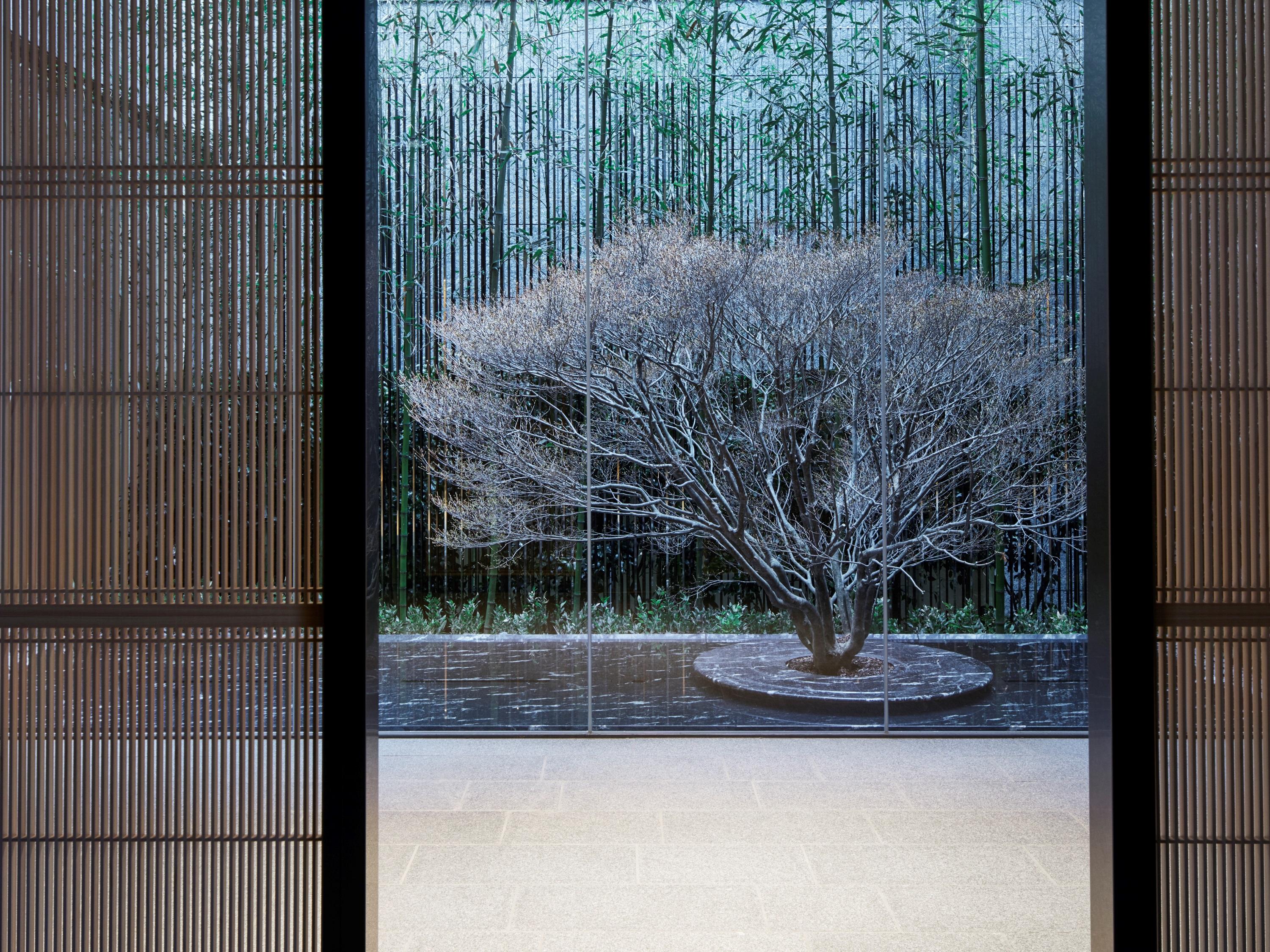 The Thousand Kyoto Exterior photo A view of the garden from the house